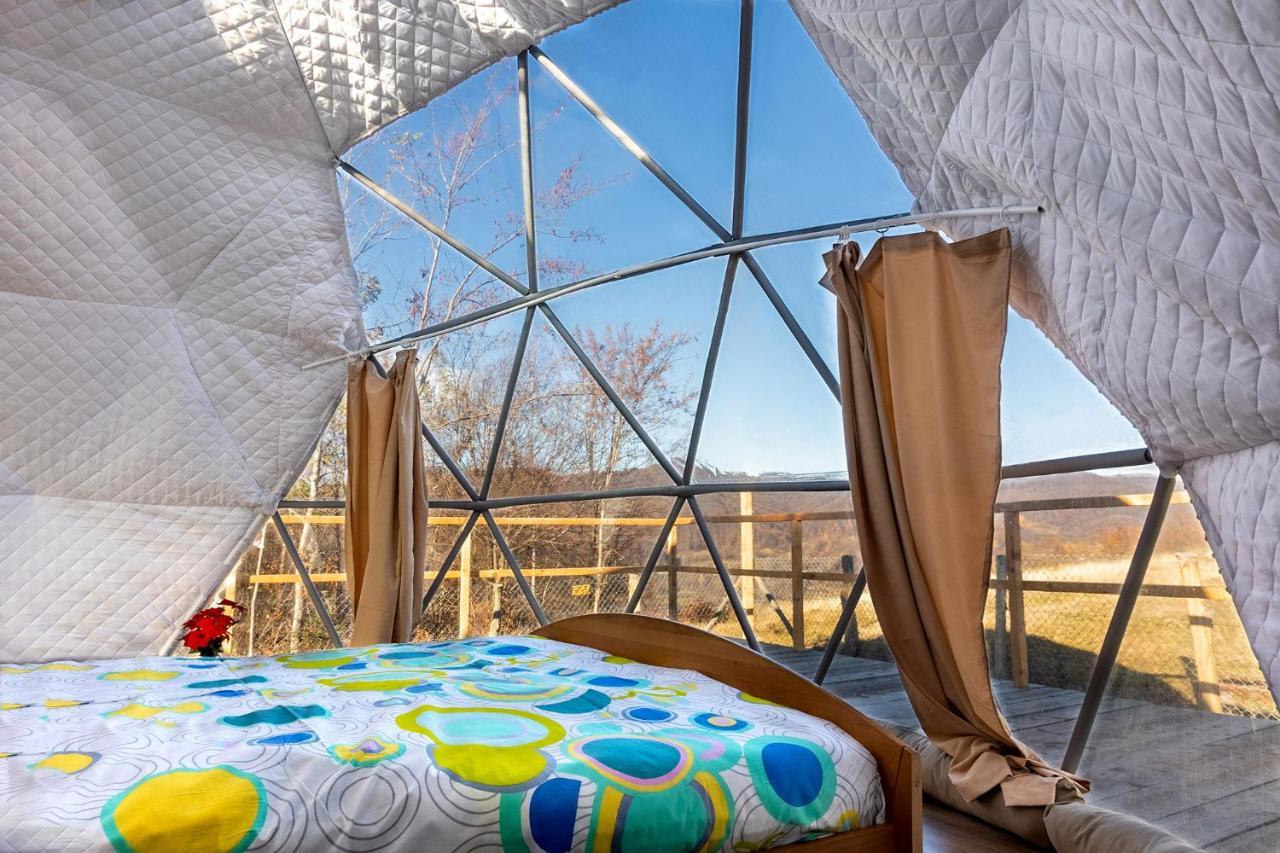Brancoveanu Glamping Varatici Экстерьер фото