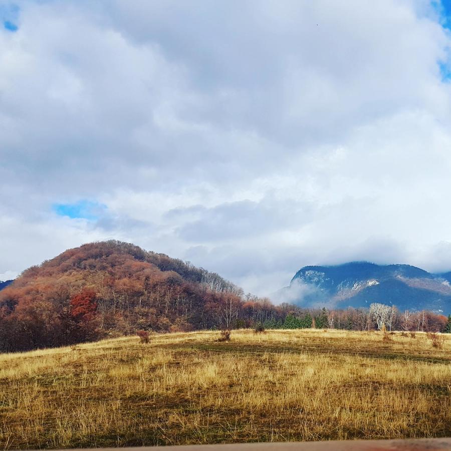 Brancoveanu Glamping Varatici Экстерьер фото